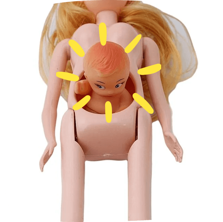 Barbie-embarazada-en-Amazon